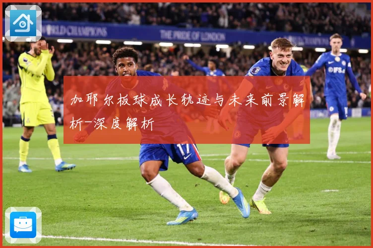 加耶尔板球成长轨迹与未来前景解析-深度解析